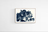 Modern Fine Art Print - Cyan Anemone #2