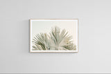 Modern Tropical Fine Art Photograph - Desert Palm