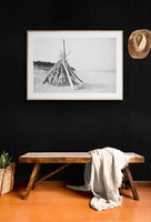 Modern Fine Art Photograph - Driftwood #1