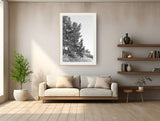 Modern Fine Art Photograph - Dune Study #1