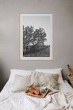 Modern Fine Art Photograph - Dune Study #3