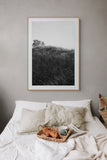 Modern Fine Art Photograph - Dune Study #4