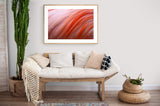 Flamingo #8 - Fine Art Photograph