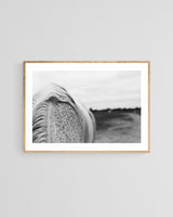 Modern Fine Art Photograph - Flecked #1