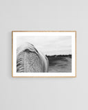 Modern Fine Art Photograph - Flecked #1