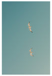 Modern Fine Art Photograph - Fly Away