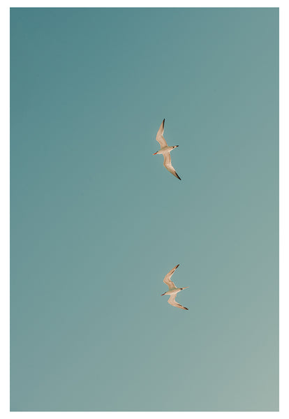 Modern Fine Art Photograph - Fly Away