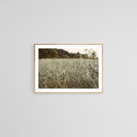 Modern Fine Art Photograph - Dune Walk