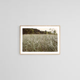 Modern Fine Art Photograph - Dune Walk