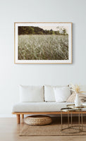 Modern Fine Art Photograph - Dune Walk