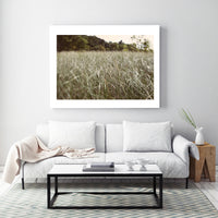 Modern Fine Art Photograph - Dune Walk