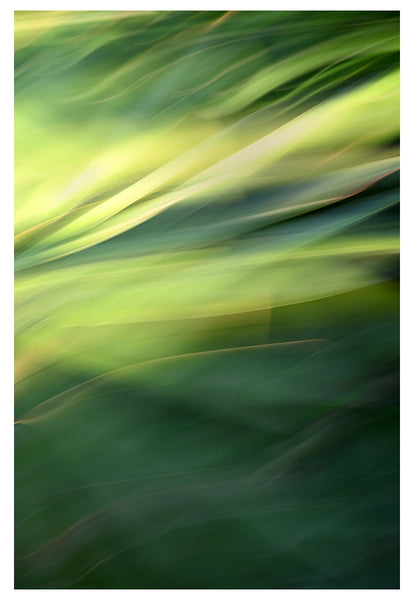 Modern Fine Art Photograph - Green Lights #1