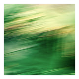 Modern Fine Art Abstract Photograph - Green Lights #3