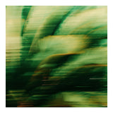 Modern Fine Art Abstract Photograph - Green Lights #4