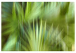 Modern Fine Art Photograph - In A Moment