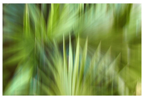 Modern Fine Art Photograph - In A Moment