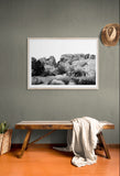 Modern Fine Art Photograph - Joshua Tree Black and White #2