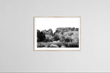 Modern Fine Art Photograph - Joshua Tree Black and White #2