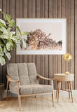 Modern Fine Art Photograph - Joshua Tree Flare #2