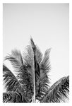 Modern Black And White Photograph - No. 14