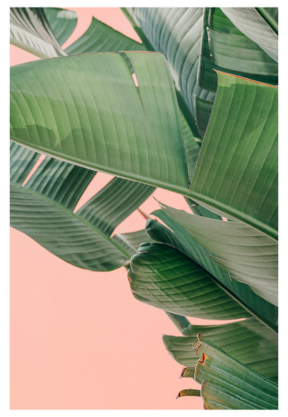 Modern Fine Art Photograph - Palm Beach #1