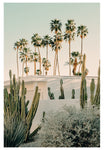 Modern Fine Art Photograph - Palm Springs #1