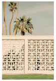 Modern Fine Art Photograph - Palm Springs #3