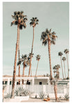 Modern Fine Art Photograph - Palm Springs #4