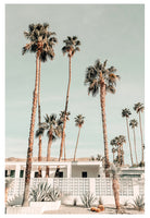 Modern Fine Art Photograph - Palm Springs #4