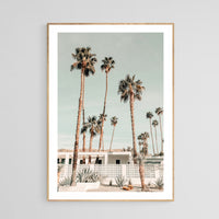 Modern Fine Art Photograph - Palm Springs #4