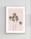 Modern Fine Art Photograph - Pink Palms