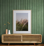 Modern Fine Art Photograph - Pink Summer