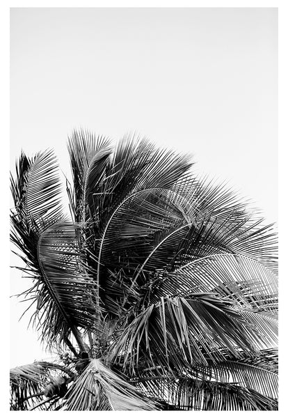 Modern Fine Art Photograph - Reckless