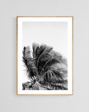 Modern Fine Art Photograph - Reckless