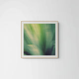 Modern Fine Art Photograph - Reveal #2