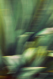 Modern Fine Art Abstract Photograph - Reveal #1