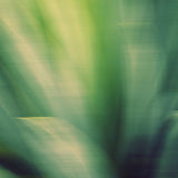 Modern Fine Art Photograph - Reveal #2
