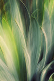 Modern Fine Art Abstract Photograph - Reveal #3