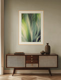 Modern Fine Art Abstract Photograph - Reveal #3