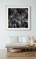 Modern Fine Art Photograph - Rustic Palms