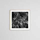 Modern Fine Art Photograph - Rustic Palms