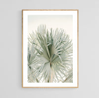 Modern Fine Art Photograph - Sage Summer