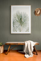 Modern Fine Art Photograph - Sage Summer