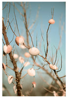 Modern Fine Art Photograph - Sea Shells In The Sky #3