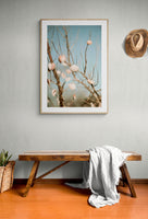 Modern Fine Art Photograph - Sea Shells In The Sky #3