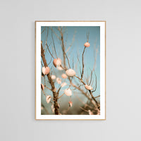 Modern Fine Art Photograph - Sea Shells In The Sky #3
