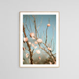 Modern Fine Art Photograph - Sea Shells In The Sky #3