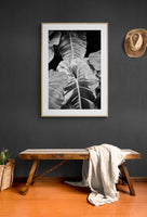 Modern Fine Art Photograph - Silver Leaf