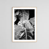 Modern Fine Art Photograph - Silver Leaf