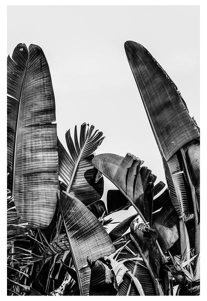 Modern Fine Art Photograph - Silver Skies #1